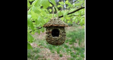 Nestbuidel in riet rond dakje