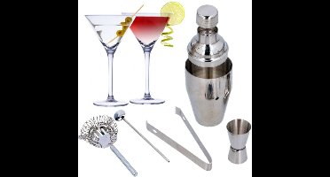 Set van 4x Martini cocktailglazen met luxe 5-delige cocktailshaker set RVS - 220 ml - Cocktails drinken - Cocktails