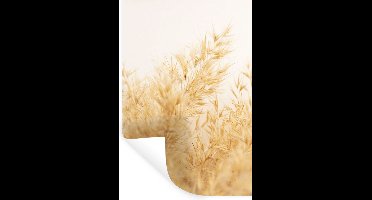 Muurstickers - Sticker Folie - Pampasgras - Zon - Gras - 20x30 cm - Plakfolie - Muurstickers Kinderkamer - Zelfklevend Behang - Zelfklevend behangpapier - Stickerfolie