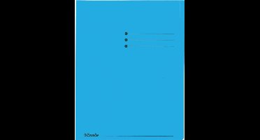 Vouwmap Esselte A4 180gr Blauw: omdoos van 4 x 100 stuks