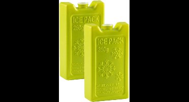 2x stuks 250 grams koelelementen 13 x 7.5 x 3 cm groen plastic