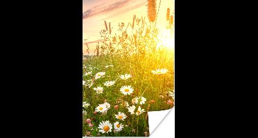 Poster Bloemen - Madelief - Natuur - Zon - Horizon - 20x30 cm