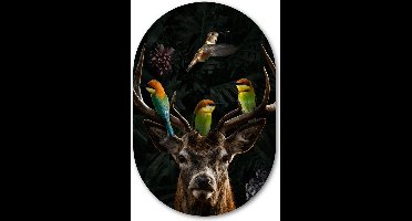 Wandovaal Deer with Birds - WallCatcher | Geborsteld Aluminium 80x120 cm | Ovalen schilderij | Muurovaal Hert met kleurrijke vogels