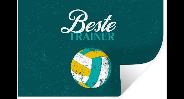 Muurstickers - Sticker Folie - Quote - Volleybal - Coach - Trainer - 30x20 cm - Plakfolie - Muurstickers Kinderkamer - Zelfklevend Behang - Zelfklevend behangpapier - Stickerfolie