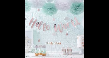 Cupcake topper - Babyshower Hello World (10 stuks) - Ginger Ray