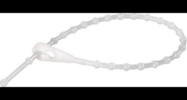 TRU COMPONENTS 1592901 TC-TV100203 Knopenband 100 mm 2.50 mm Natuur 100 stuk(s)