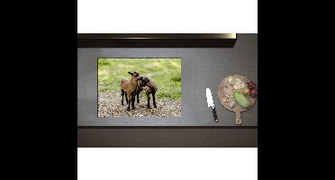 Inductieplaat Beschermer - Bruin met Zwarte Kussende Lammetjes - 70x50 cm - 2 mm Dik - Inductie Beschermer - Bescherming Inductiekookplaat - Kookplaat Beschermer van Zwart Vinyl