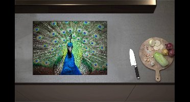 Inductieplaat Beschermer - Close up van blauwe pauw met zijn veren omhoog - 70x51 cm - 2 mm Dik - Inductie Beschermer - Bescherming Inductiekookplaat - Kookplaat Beschermer van Wit Vinyl