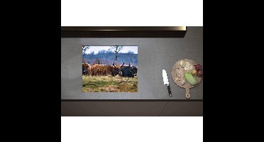 Inductieplaat Beschermer - Bruine en zwarte stieren staan in de natuur - 59x50 cm - 2 mm Dik - Inductie Beschermer - Bescherming Inductiekookplaat - Kookplaat Beschermer van Zwart Vinyl