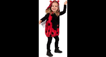 Stippenplezier Lieveheersbeestje Kind Kostuum