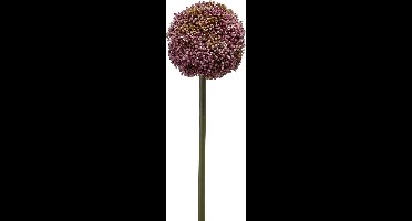 Emerald - Kunstbloem Allium 75cm paars - Kunstplant voor binnen