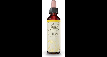 Bach 36 Wild Oat 20ml