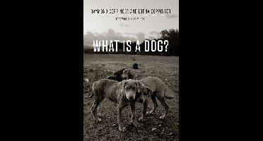 What Is a Dog?