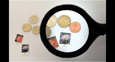 Benson Loep met LED Verlichting