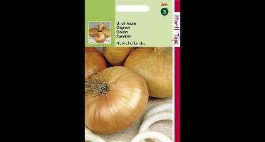 Hortitops Zaden - Uien Noordhollandse Strogele