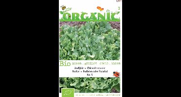 Buzzy Organic Andijvie Nr. 5 BIO - 2 g Biologisch Zaad