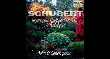 Impromptus / Waltzes