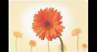 Placemat, Gerbera - Kela | Picture
