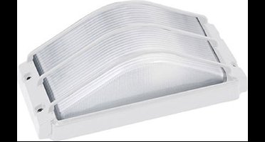 LED Tuinverlichting - Buitenlamp - Ovalis - Wand - Aluminium Mat Wit - E27 - Rechthoek