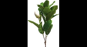 Gifts Amsterdam Kunstbloem Magnolia Grandiflora Zijde Wit