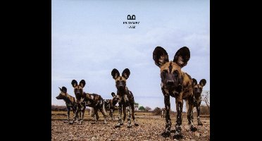 Balthazar - Fever (CD)