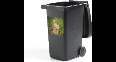 Container sticker Konijn - Baby - Bruin - Gras - 40x40 cm - Kliko sticker