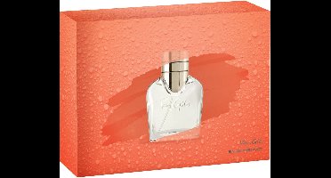 Van Gils Cadeauset Basic Instint Eau de Toilette 30 ml & Deo spray 150 ml