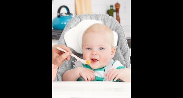 Skip Hop Easy-Feed Eetlepel - Grijs/Koraalrood - 2 Stuks