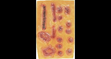 Dressing Up & Costumes | Costumes - Makeup Extensions - Gory Wounds, Skin Colour