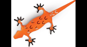 Vacavaliente - Amigos Organiser Magnetisch Hagedis - Gerecycled Leer - Oranje