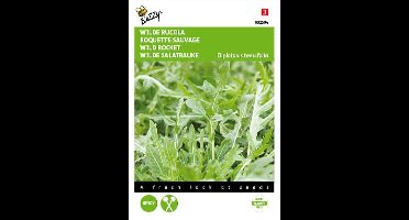 Buzzy Zaden - Wilde Rucola - Diplotaxis tenuifolia