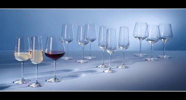 Villeroy & Boch Ovid Glazenset 12-delig - kristalglas