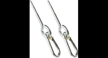 Schommelhaak met Schroefdraad en Karabijnhaak - Set van 2 stuks