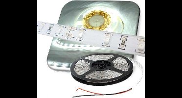 LEDstrip KOUD WIT 5-meter 60 leds/meter waterproof LED strip