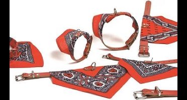 Ipts halsband/doekje rood assorti