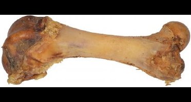 Wielink 70x Mini Dinobot