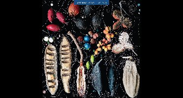 Josephine Wiggs - We Fall (LP)