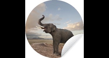 WallCircle - Muurstickers - Behangcirkel - Olifant - Heuvel - Wolk - ⌀ 30 cm - Muurcirkel - Zelfklevend - Ronde Behangsticker