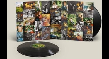 Big Thief - Dragon New Warm Mountain I Believe in You (2LP)