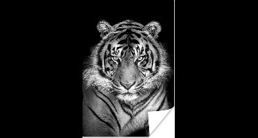 Poster Tijger - Roofdier - Zwart - Wit - 20x30 cm