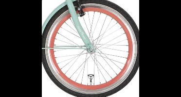 Alpina voorwiel 20 J19DB salomon zink spk