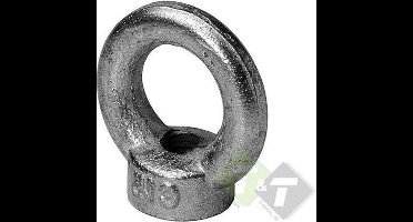 Oogmoer - Ringschroef M20 - Max. werklast 1200KG - Verzinkt