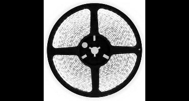 5 meter daglicht led strip - 60Leds/m - 12V