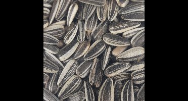 Flamingo - Vogelvoer Zonnebloempitten - 3 kg