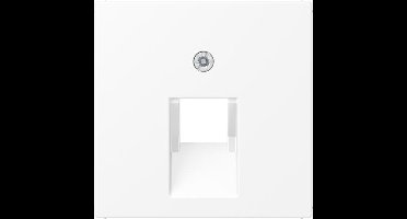 Jung A Range Insteekschakelplaat - A569-1BFPLUAWWM - E2W27