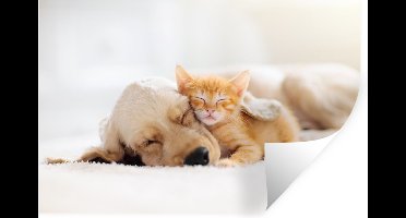 Muurstickers - Sticker Folie - Dieren - Hond - Kitten - Rood - 30x20 cm - Plakfolie - Muurstickers Kinderkamer - Zelfklevend Behang - Zelfklevend behangpapier - Stickerfolie