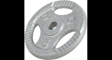 Gorilla Sports Gewicht - Halterschijf - 5 kg - Gripper Gietijzer - 30 mm