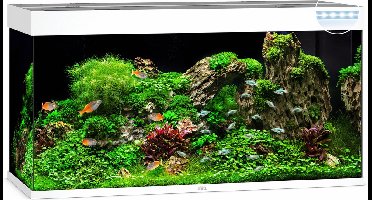 Juwel Aquarium Rio 350 Led 121x51x66 cm - Aquaria - Wit Ca. 350 L