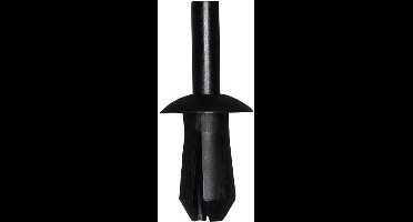 Spreidnagel OEM:n10259301 1l0853934