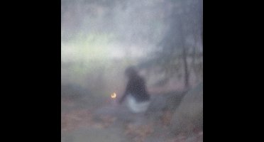 Clinic Stars - Only Hinting (LP)